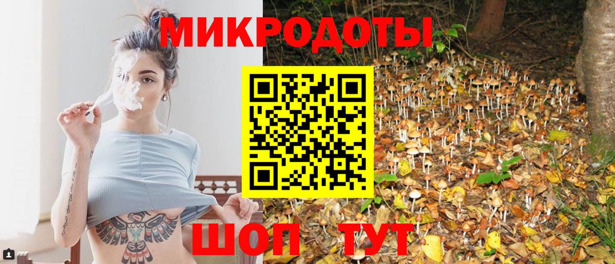 Псилоцибиновые грибы MAGIC MUSHROOMS Кострома