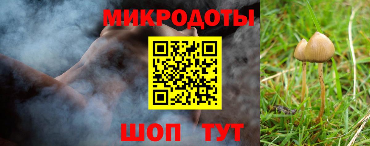 цена   Псилоцибиновые грибы мицелий  Вход с VPN  Кострома 